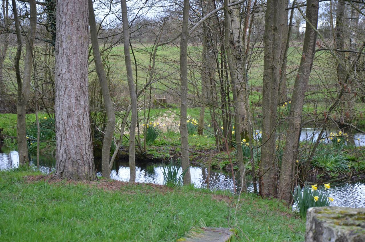 Le Moulin De Charin Bed & Breakfast La Pommeraie-sur-Sèvre Екстериор снимка